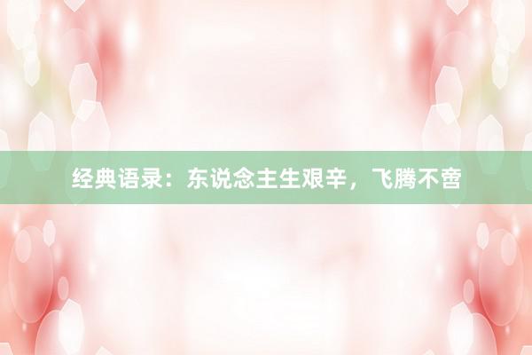 经典语录：东说念主生艰辛，飞腾不啻