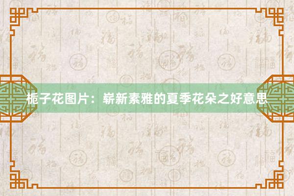 栀子花图片：崭新素雅的夏季花朵之好意思
